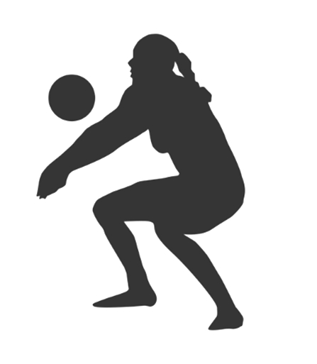silhouette bagher